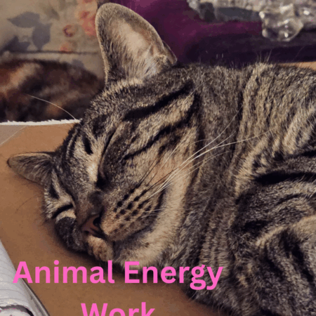 Animal Energy Work